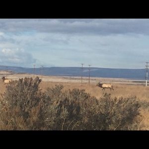 Meet your Posher, Richard